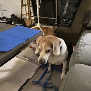 Meet your Posher, Tracy